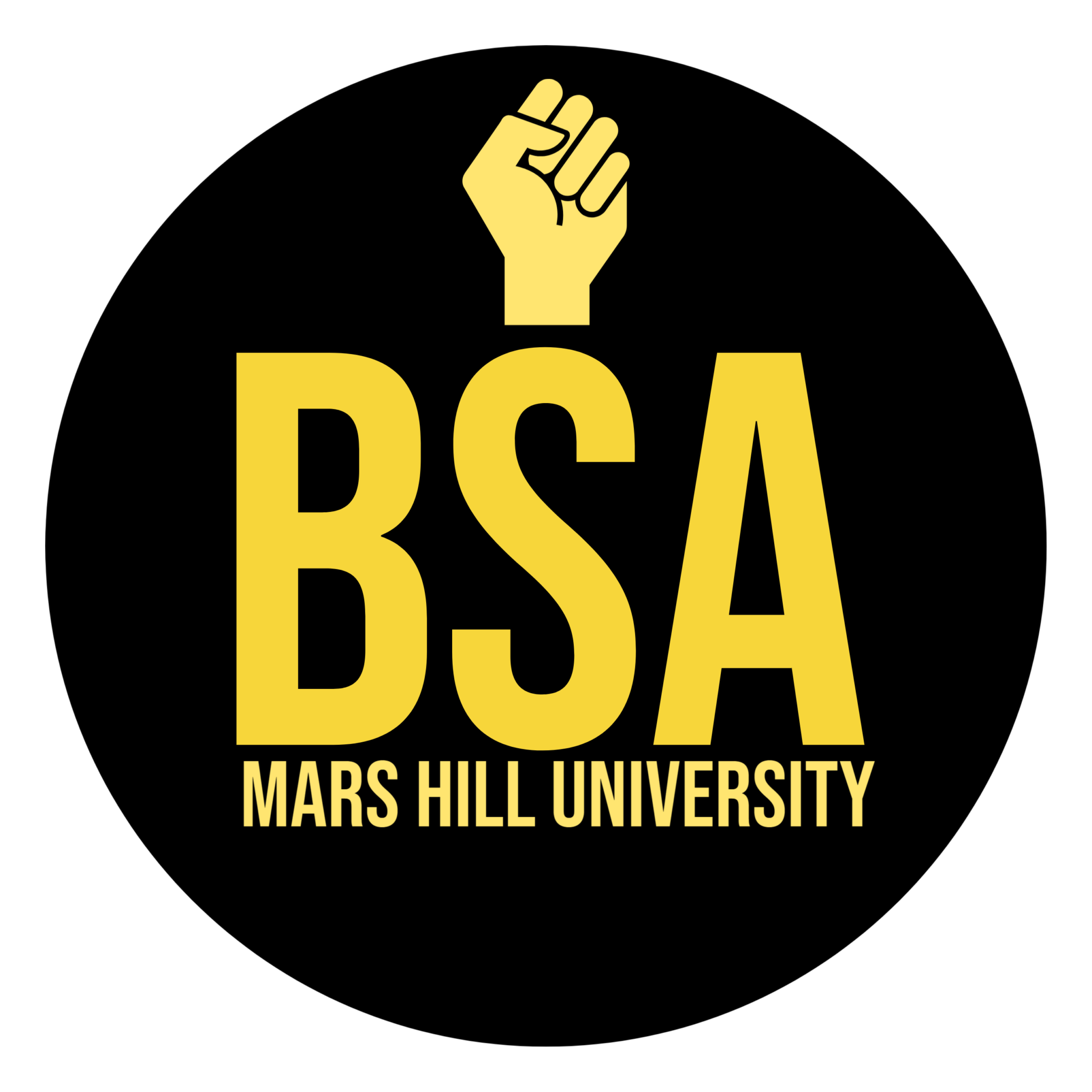 bsa-meeting-mars-hill-university